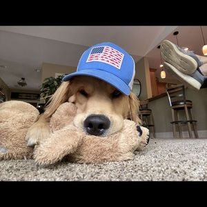 Meet your Posher, Jake